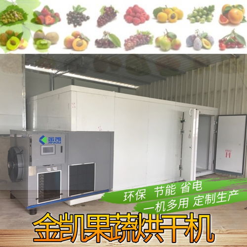 【樱桃烘干机金凯水果烘干机小型果蔬烘干机】- 