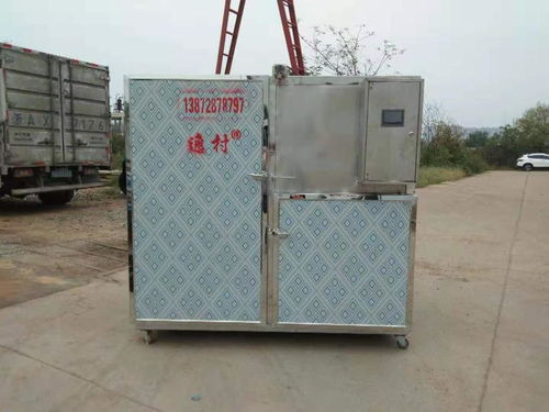 逸村厂家直销环保电控烘干机 海鲜菌菇茶叶环保电烘干机