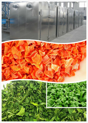 蔬菜热泵烘干机,蔬菜空气能干燥设备,果蔬烘干房