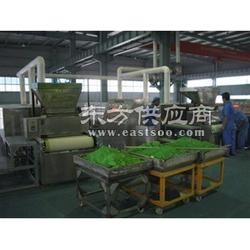 一步供应脱水蔬菜带式干燥机