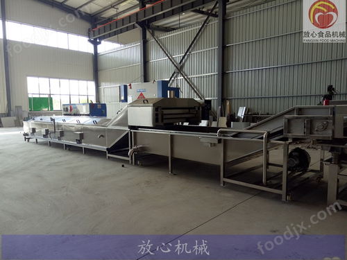 蔬菜漂烫流水线