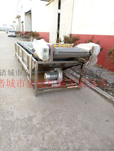 贵州鱼腥草清洗机三七花鼓泡式清洗机