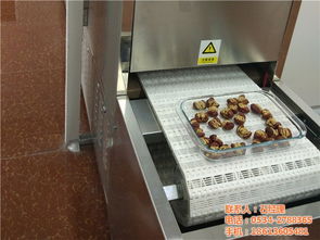 千弘微波STJ型蔬菜烘干脱水机 优质商家推荐的果蔬烘干解决方案