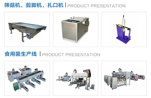 随州鸿宇机械设备厂家小型羊肚菌烘干箱与果蔬烘干机市场价格解析