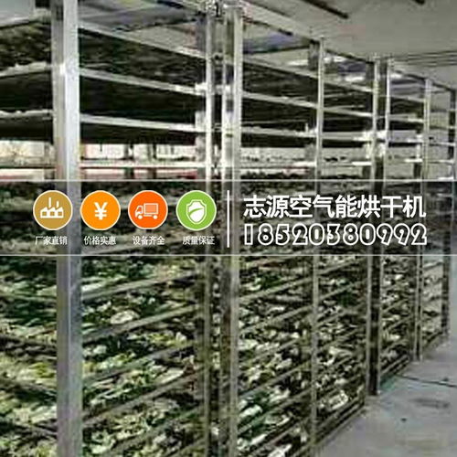 新一代热泵果蔬烘干机的工作原理