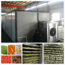 振科新型蔬菜烘干机的“长寿秘诀”