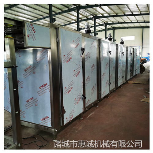 高效智能的果蔬烘干解决方案 详解不锈钢网带烘干机及其生产线
