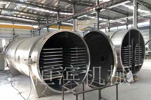 解锁天然美味与营养 低温冷冻干燥机在果蔬休闲食品领域的革命