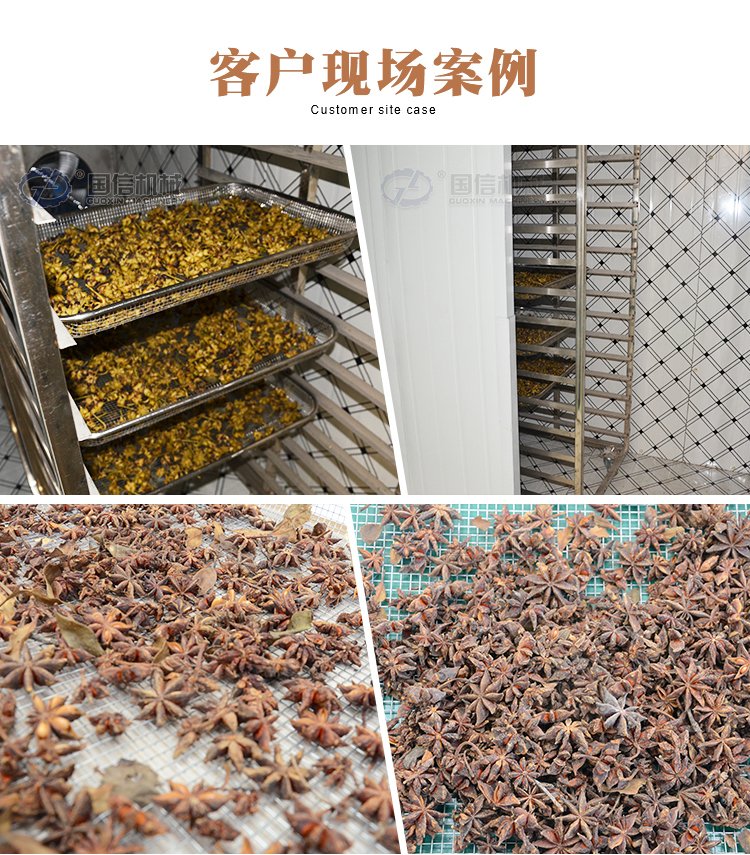 国信八角烘干机 茴香干燥、中药材脱水的全自动化解决方案